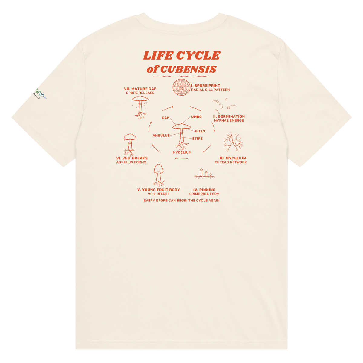 Cubensis Field Studies Tee, Vintage White, back