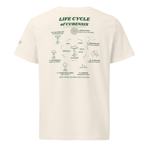 Cubensis Field Studies Tee in Vintage White, back field study in forest green